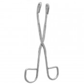 Sterilizing Forceps (6)